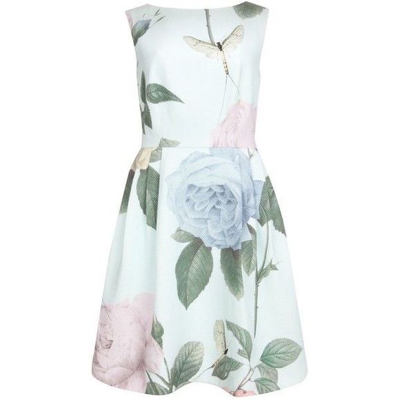 ted baker distinguishing rose dress